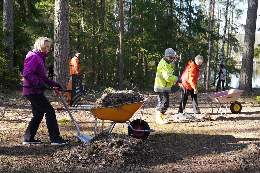 Ihmisiä haravoimassa