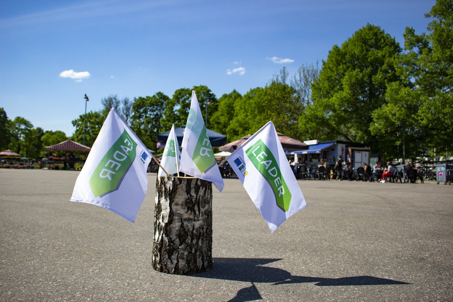 Kuvituskuva. Leader-liput liehuvat pölkyn päällä torilla.